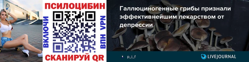 shop как зайти Юрьевец Псилоцибиновые грибы GOLDEN TEACHER